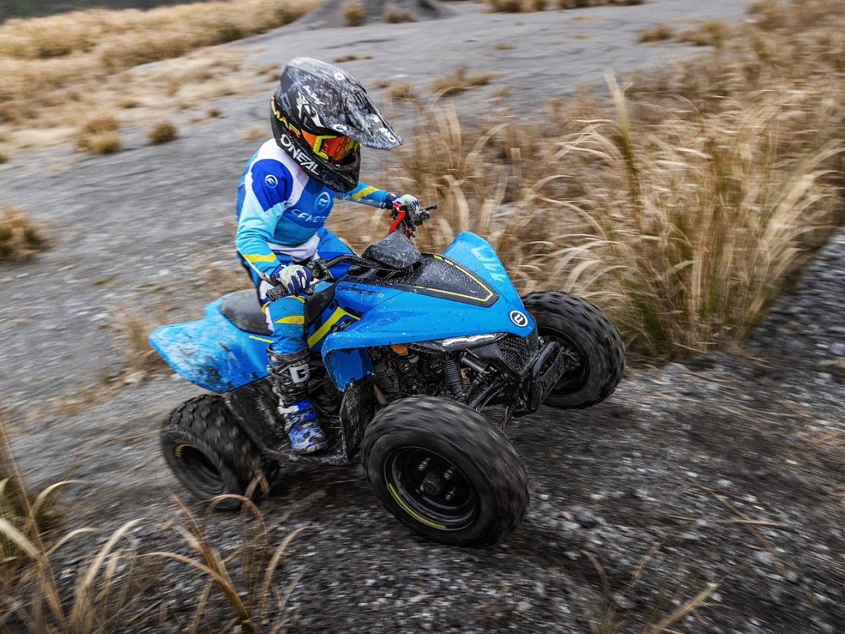 CFORCE 110 EFI
