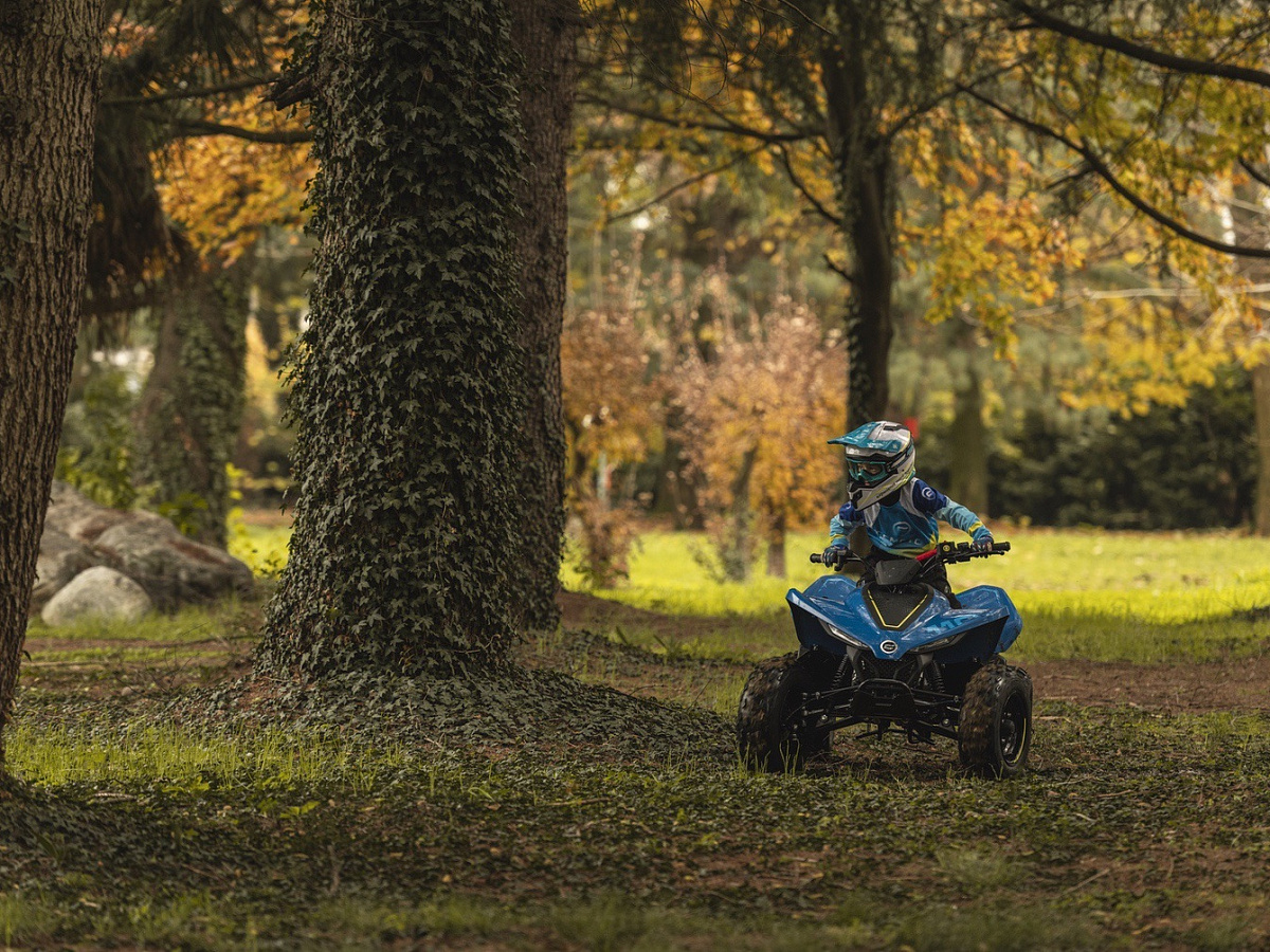 CFORCE 110 EFI